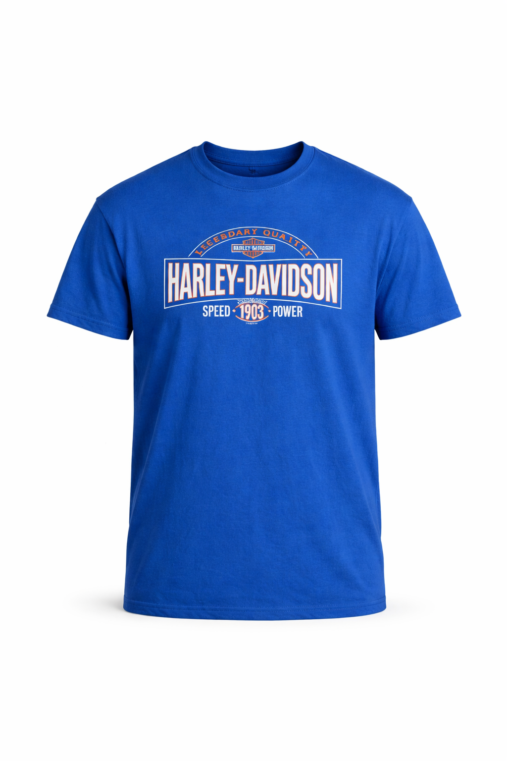 Harley Davidson graphic T-shirt (L)