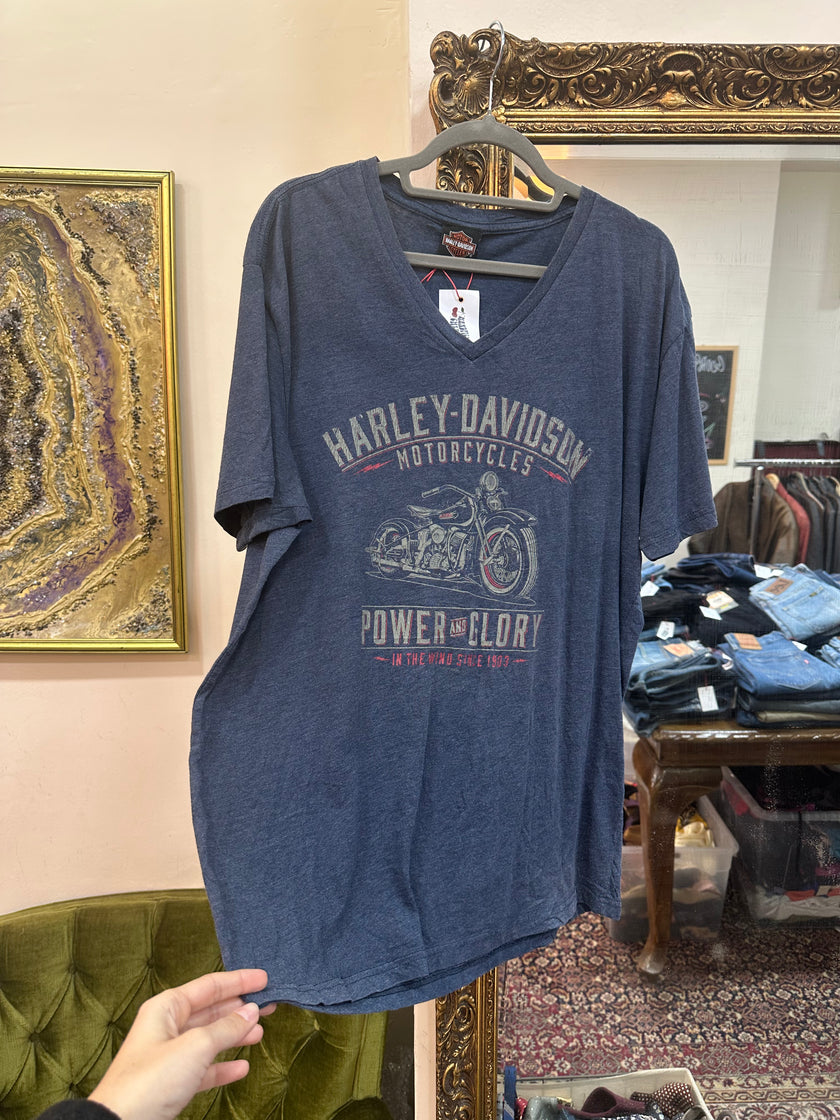 Harley Davidson t-shirt