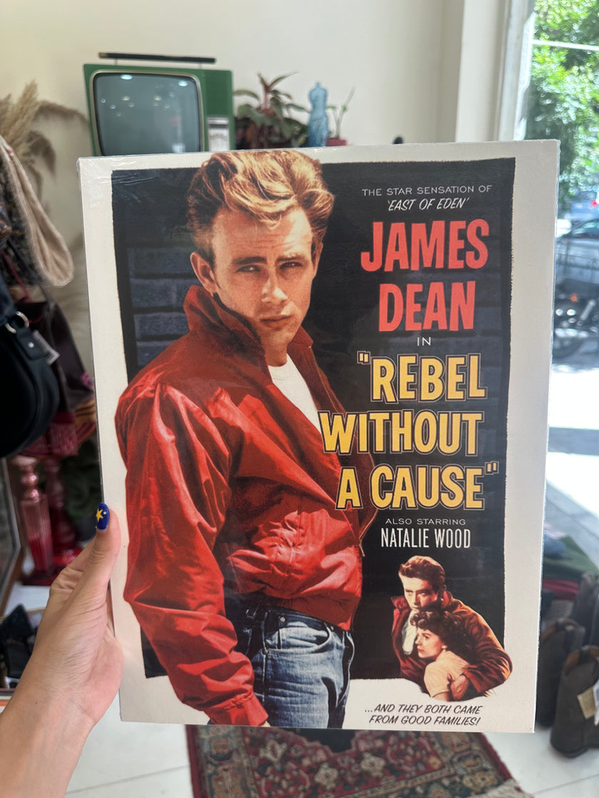 Rebel without a cause poster
