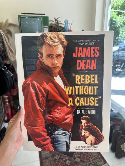 Rebel without a cause poster