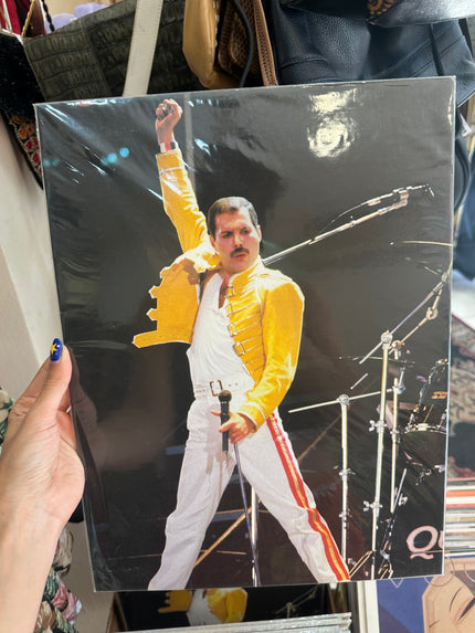 Freddie Mercury poster