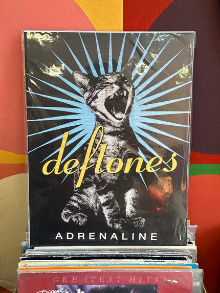 Deftones poster