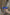 Blue mask sunglasses