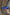 Blue mask sunglasses